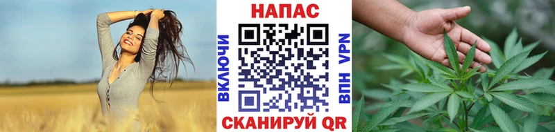 Магазины продажи наркотиков Новотитаровская ГАШИШ Галлюциногенные грибы АМФЕТАМИН БУТИРАТ КОКАИН МЕФ