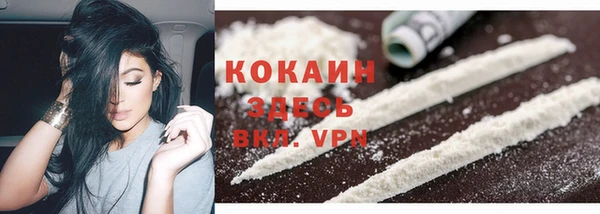 дживик Аркадак