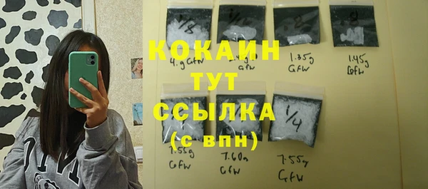 крисы Киренск