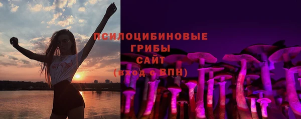 крисы Киренск