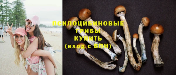 прущая мука Кинешма