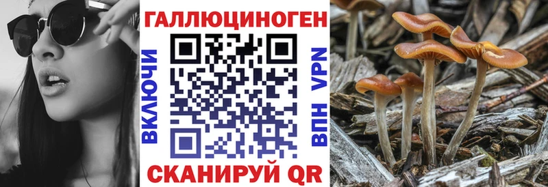 Галлюциногенные грибы ЛСД  дарнет шоп  Новотитаровская 